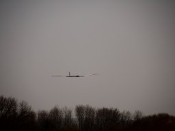 fliegen0903 58